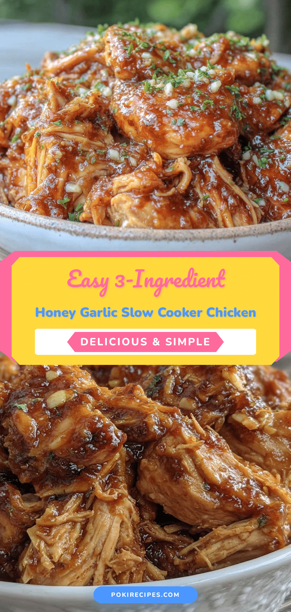 slow cooker honey garlic chicken recipe